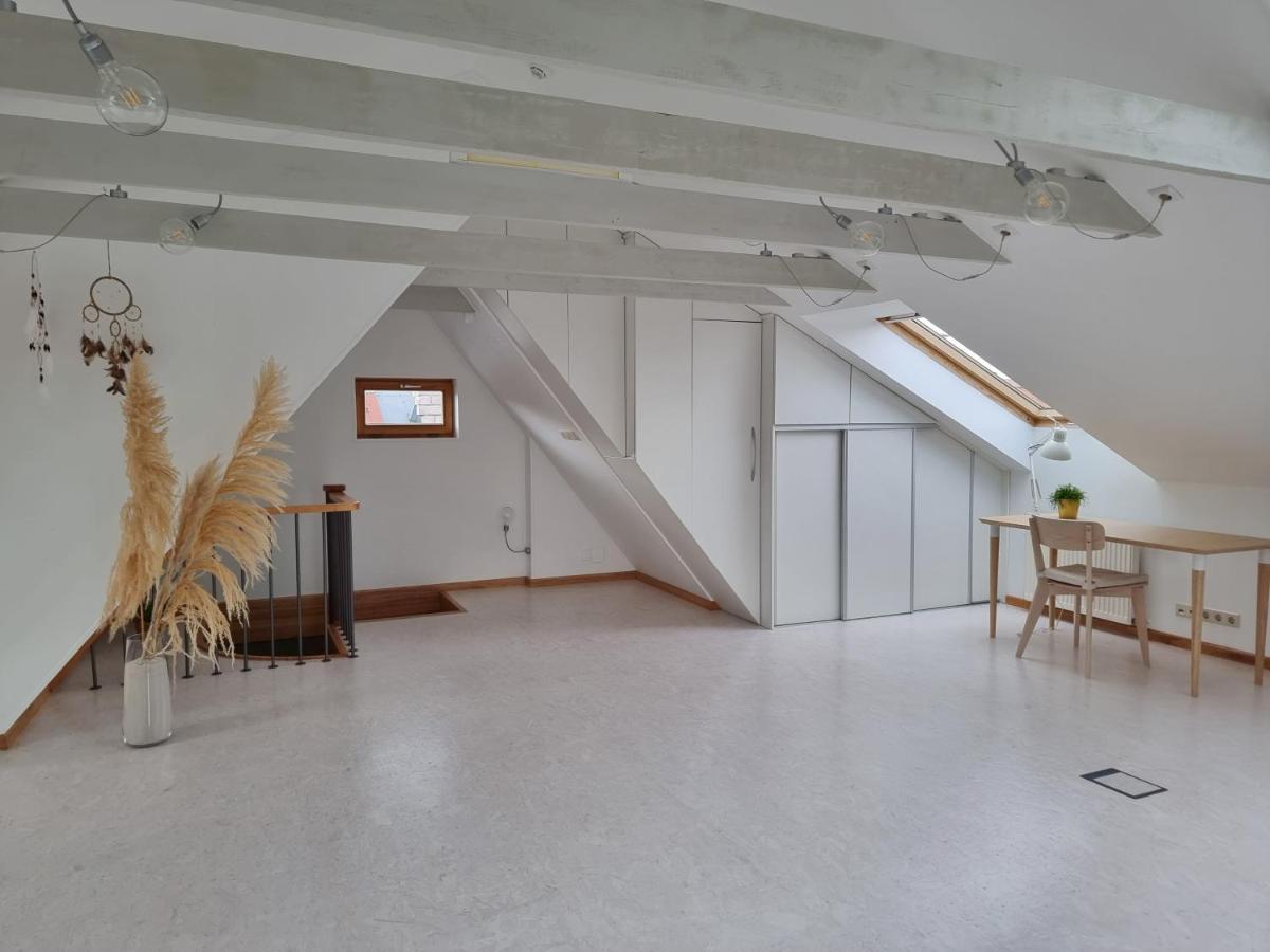Old Town Jiva Apartment 카우나스 외부 사진