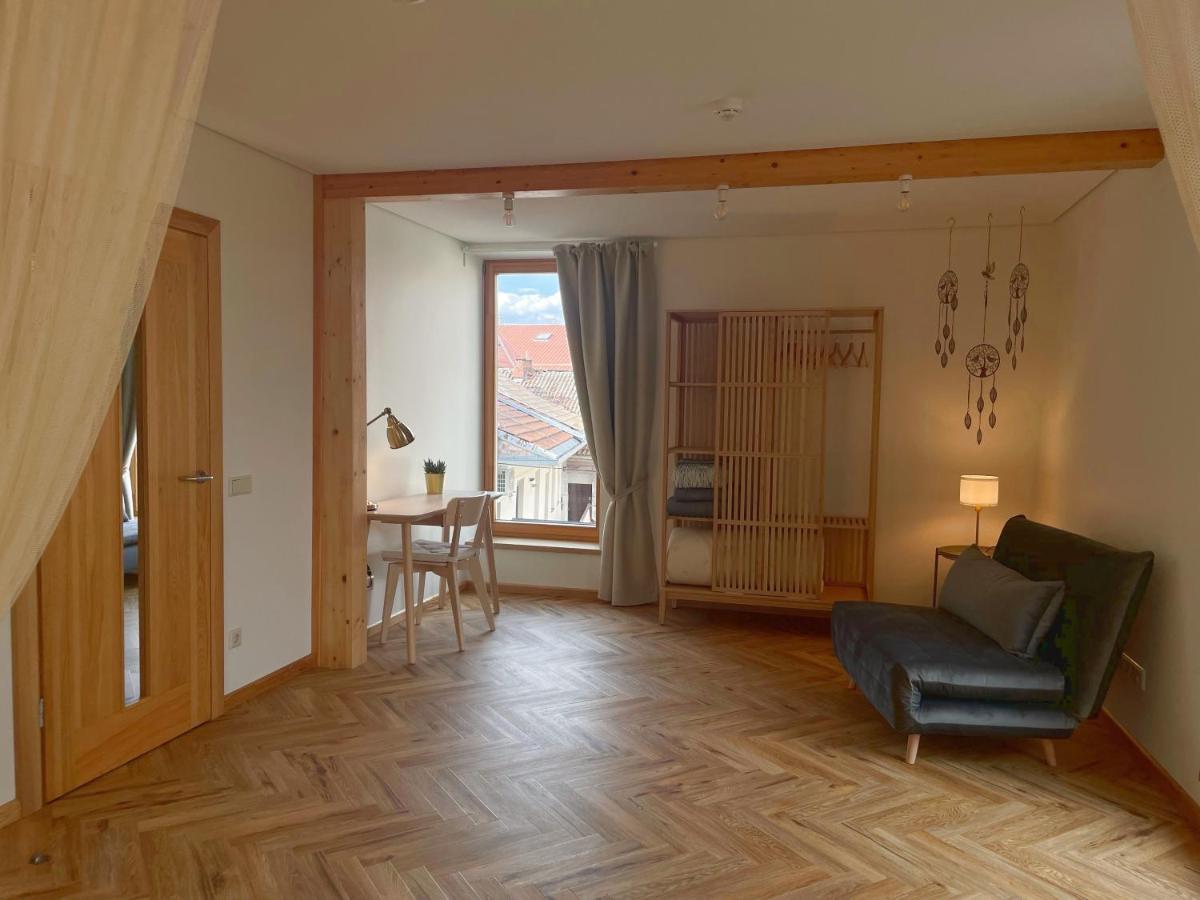 Old Town Jiva Apartment 카우나스 외부 사진